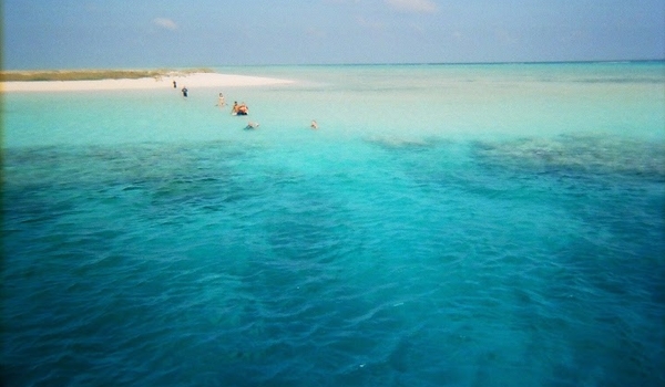 photo (16)